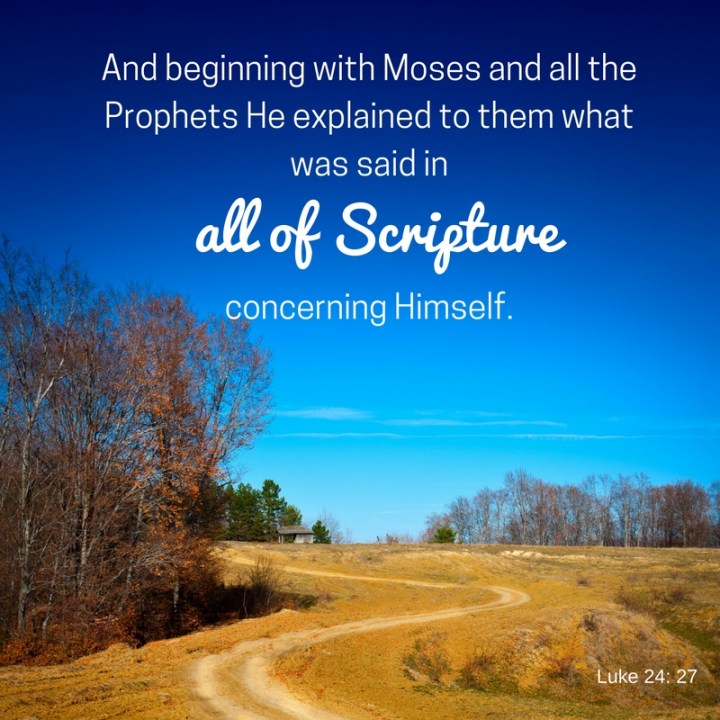 Lessons from HIStory