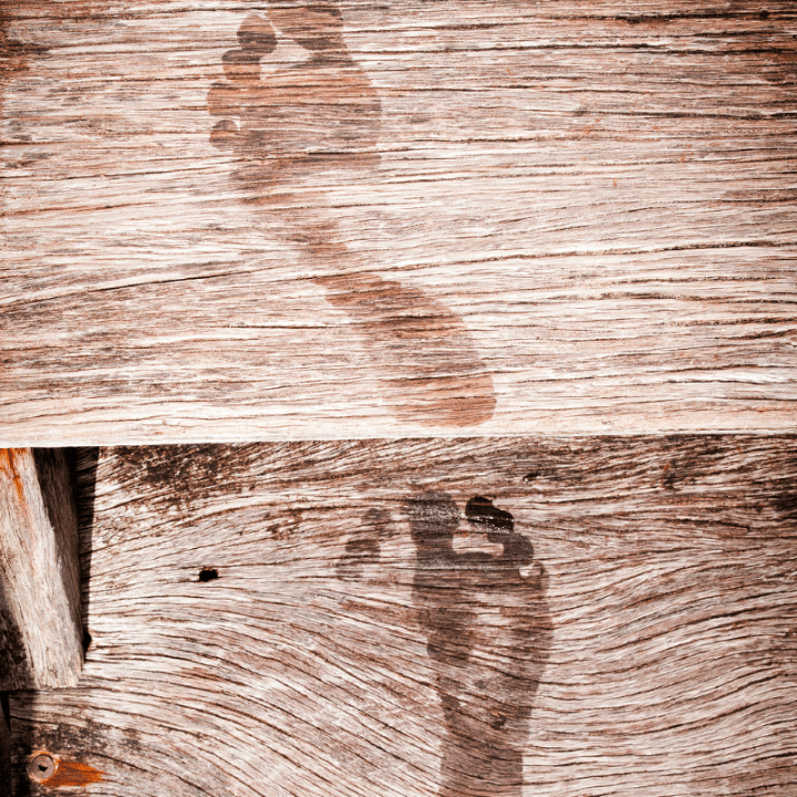 Guidance for Leaders that Others May Follow (Hint: We’re all&nbsp;Leaders)