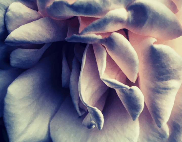 Lest You Linger Too&nbsp;Long