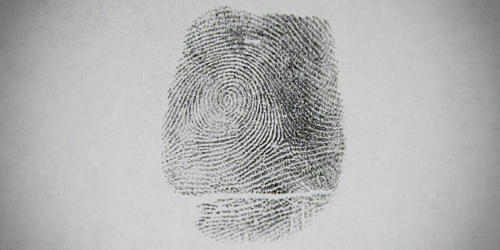 Confessions of a True Crime&nbsp;Junkie