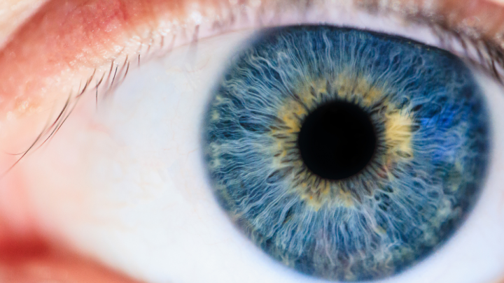 Sensing God –&nbsp;Sight